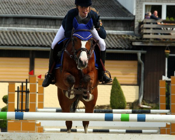 broodmare Manitza T (German Riding Pony, 2007, from Mentos Charmeur)