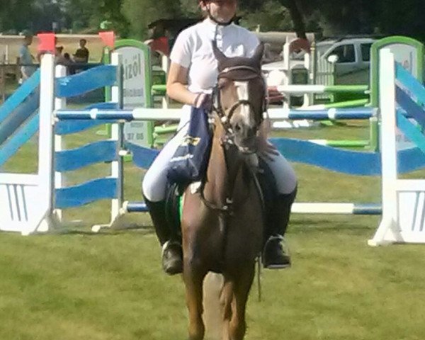 Pferd Lady (Deutsches Reitpony,  )
