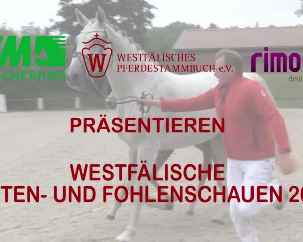 Stuten- und Fohlenschau Gevelsberg-Berge 2018