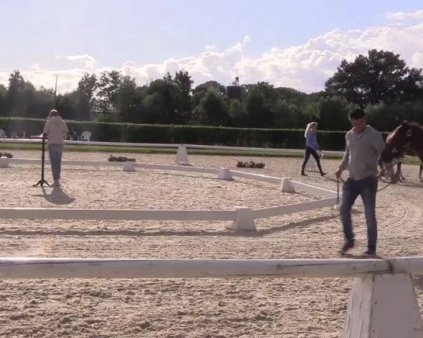 LVM-Sichtung Fohlenchampionat 2018 Münster-Handorf