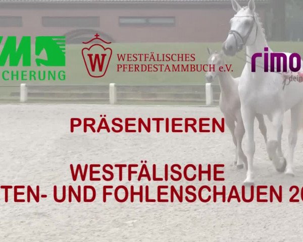 LVM-Sichtung Fohlenchampionat 2018 Münster-Handorf