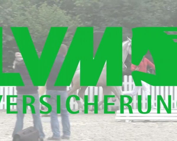 Stuten- und Fohlenschau Wettringen 2018