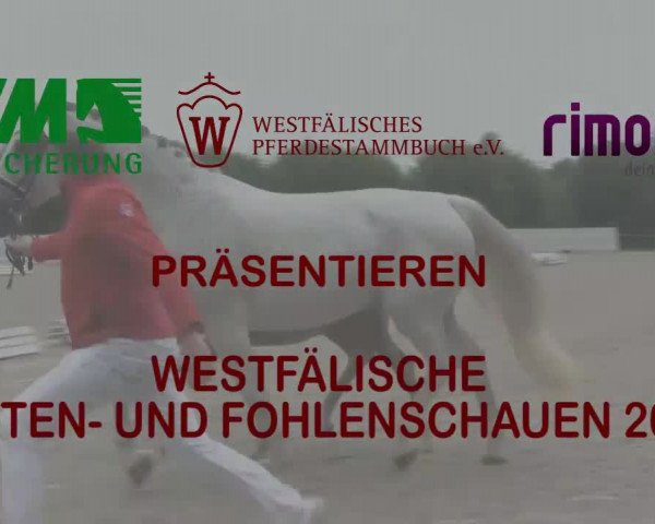 Stuten- und Fohlenschau Wettringen 2018