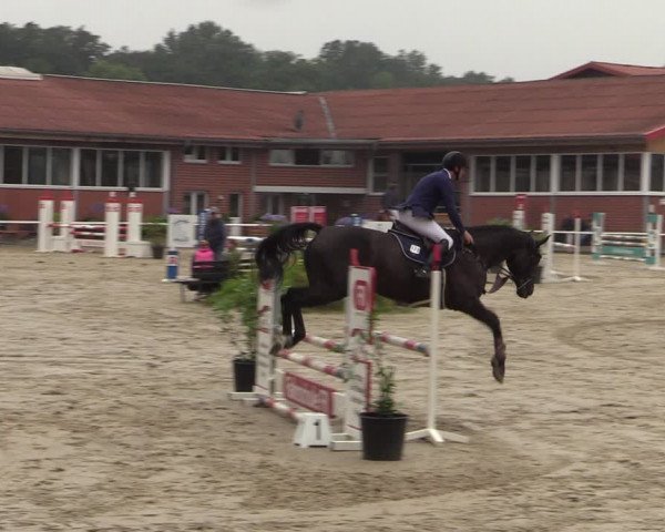 Reitturnier Werne 2021
