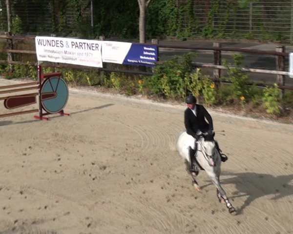 Reitturnier Monheim - Gut Blee 2021