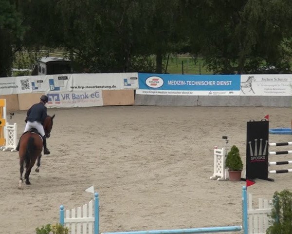 Reitturnier Monheim - Gut Blee 2021