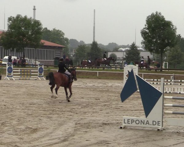 Reitturnier Werne 2021