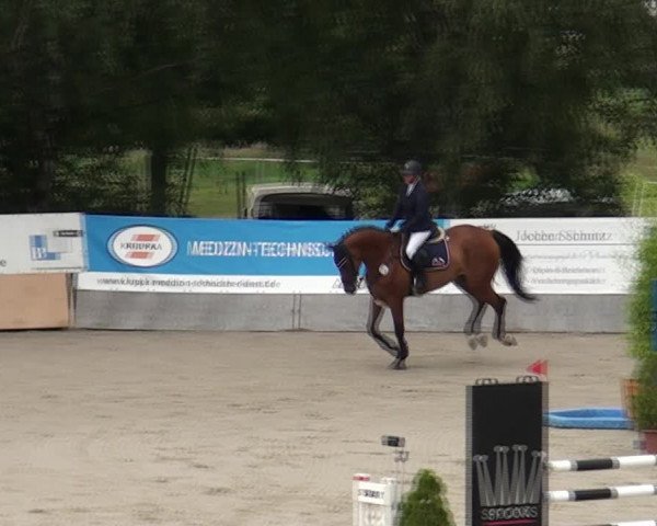 Reitturnier Monheim - Gut Blee 2021