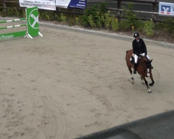 Reitturnier Monheim - Gut Blee 2021