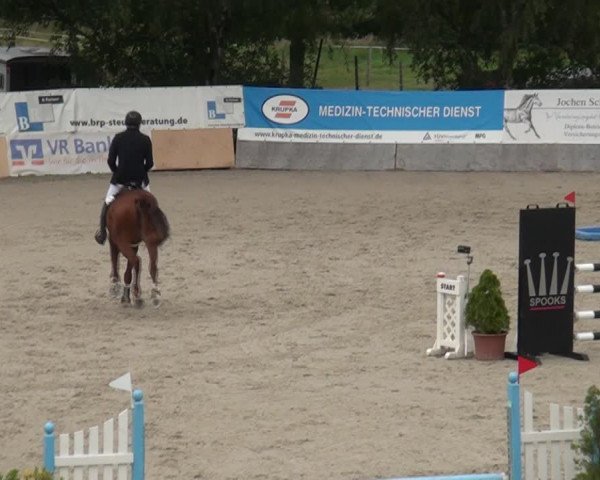 Reitturnier Monheim - Gut Blee 2021