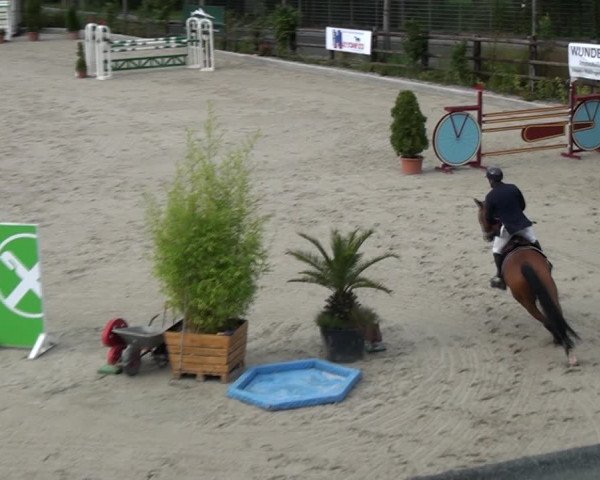 Reitturnier Monheim - Gut Blee 2021