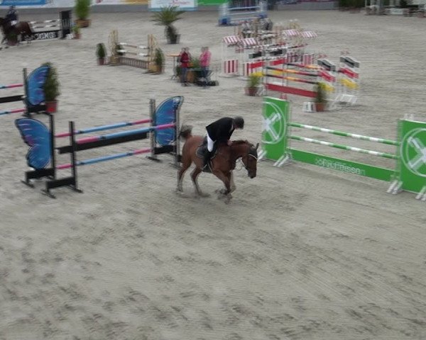 Reitturnier Monheim - Gut Blee 2021