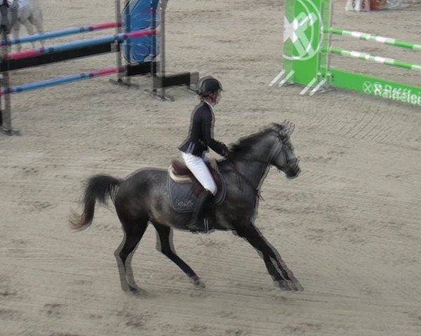 Reitturnier Monheim - Gut Blee 2021