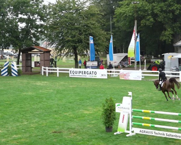 Sommerturnier Ostbevern 2021