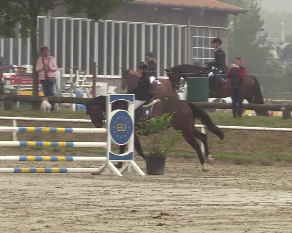 Reitturnier Werne 2021