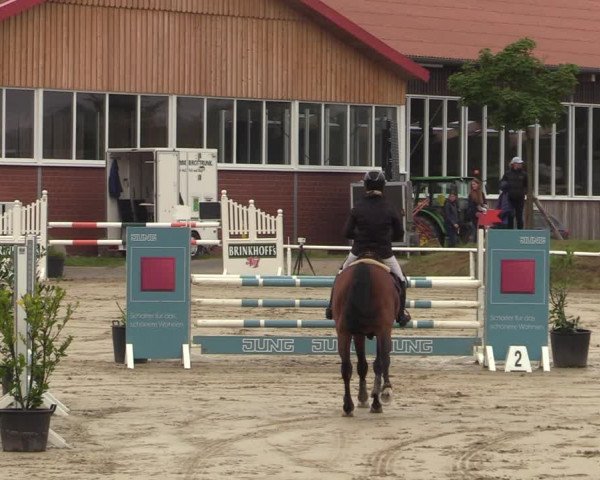 Reitturnier Werne 2021