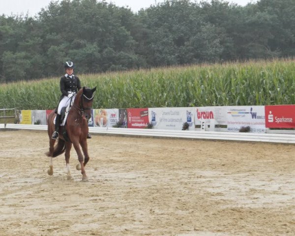 Sommerturnier Ostbevern 2021