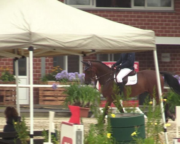 Reitturnier Werne 2021