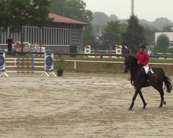 Reitturnier Werne 2021