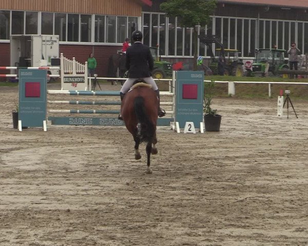 Reitturnier Werne 2021