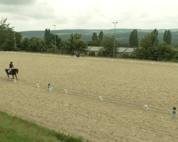 Dressurturnier Bübinger Hof 2021