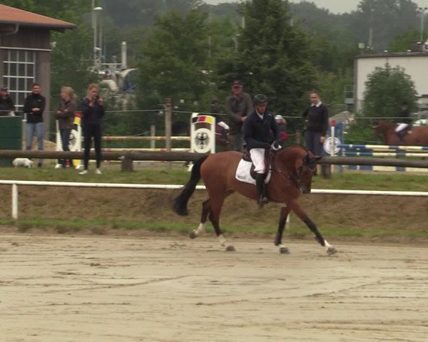 Reitturnier Werne 2021