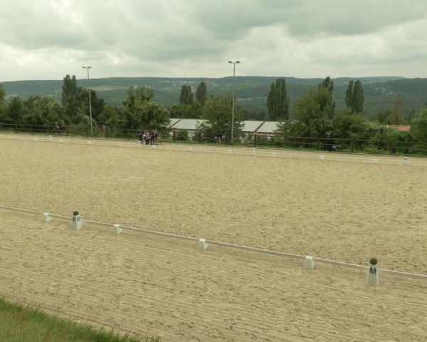 Dressurturnier Bübinger Hof 2021