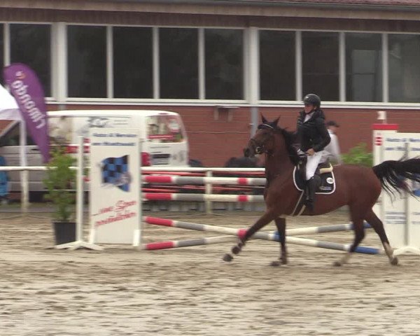 Reitturnier Werne 2021