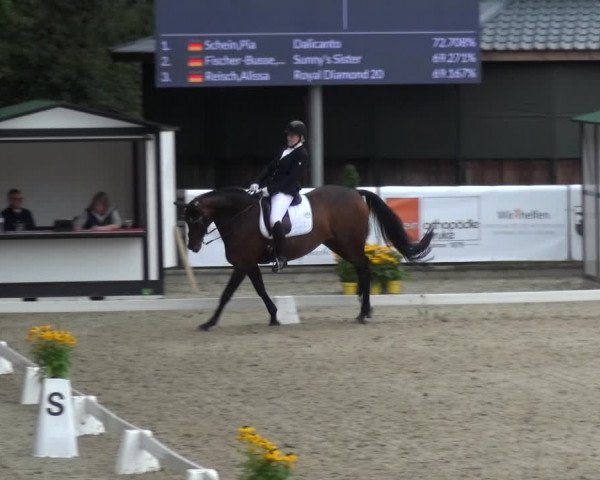 Reitsport Festival am Gut Jagenberg - Solingen 2021