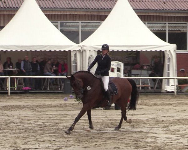 Reitturnier Werne 2021