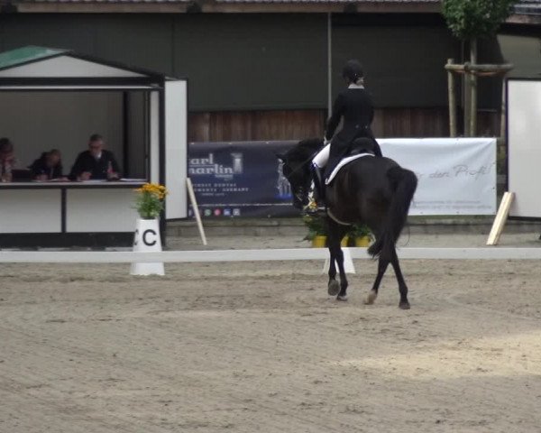 Reitsport Festival am Gut Jagenberg - Solingen 2021