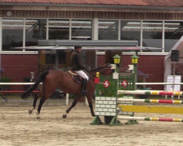 Reitturnier Werne 2021