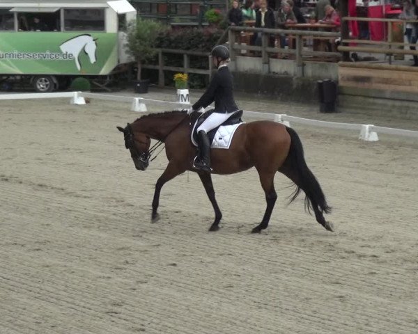 Reitsport Festival am Gut Jagenberg - Solingen 2021