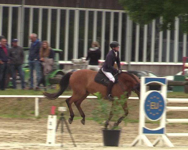 Reitturnier Werne 2021