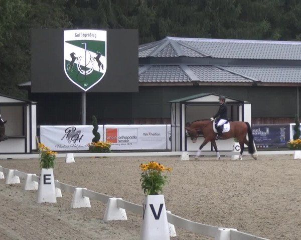 Reitsport Festival am Gut Jagenberg - Solingen 2021