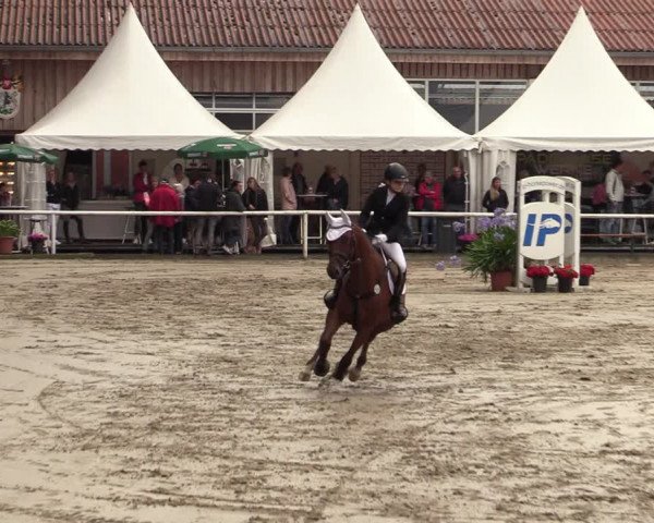 Reitturnier Werne 2021