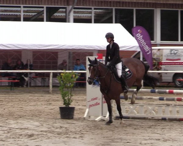 Reitturnier Werne 2021
