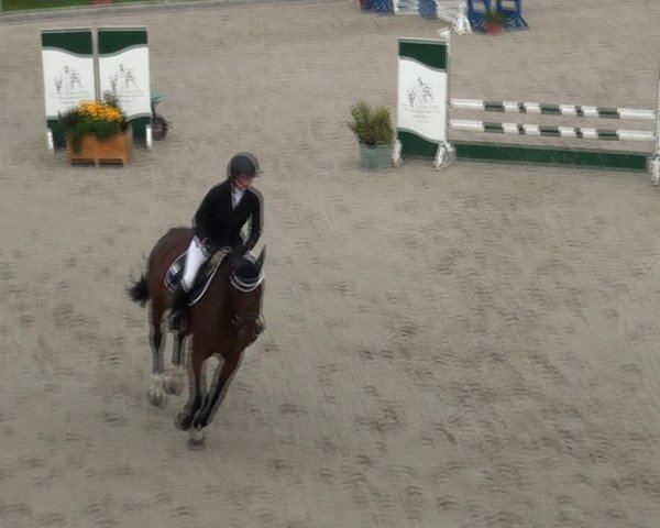 Reitturnier Monheim - Gut Blee 2021