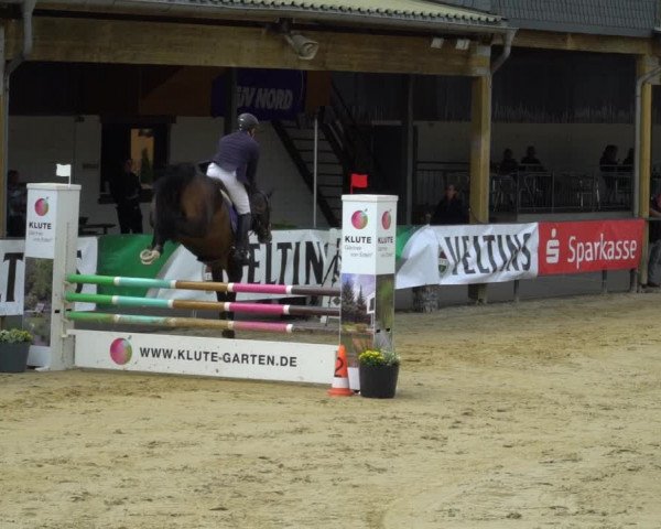 Reitturnier Hellefeld 2021