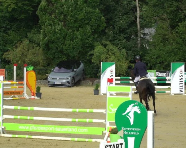 Reitturnier Hellefeld 2021