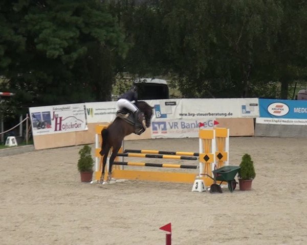 Reitturnier Monheim - Gut Blee 2021