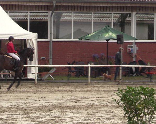 Reitturnier Werne 2021