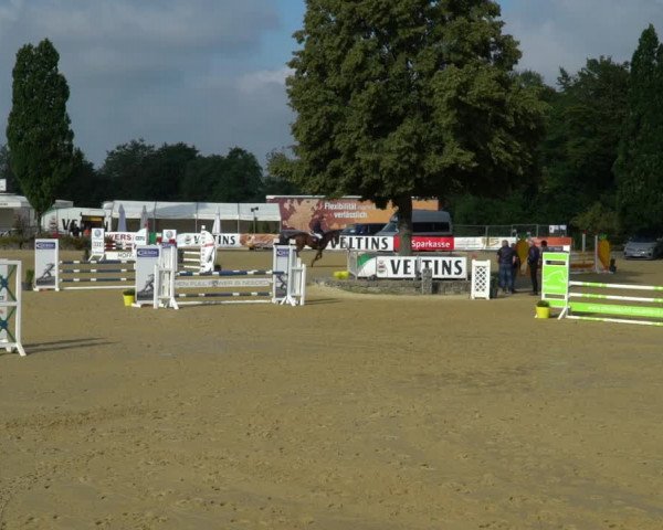 Reitturnier Hellefeld 2021