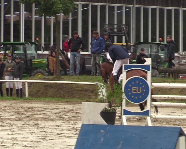 Reitturnier Werne 2021