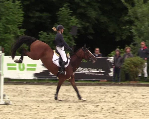 Reitturnier Schnarup-Thumby 2021
