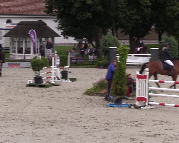 Reitturnier Schnarup-Thumby 2021