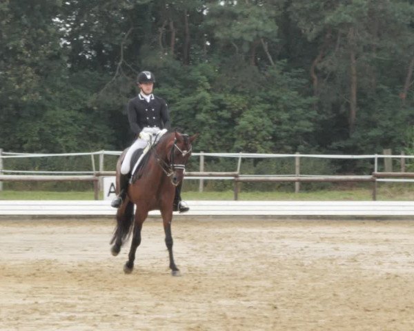 Sommerturnier Ostbevern 2021