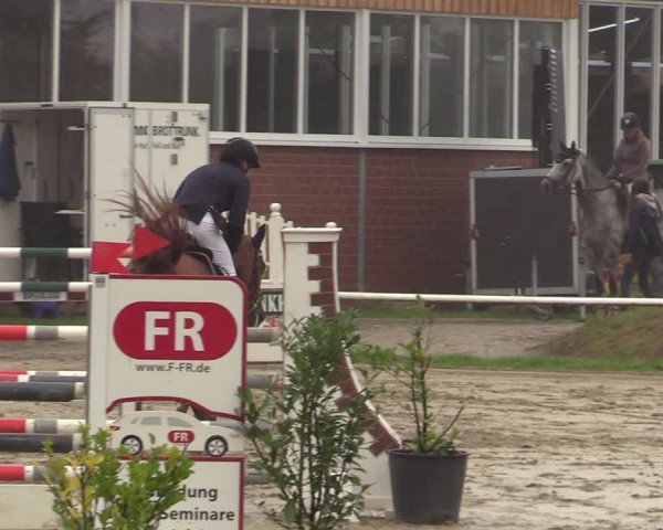 Reitturnier Werne 2021