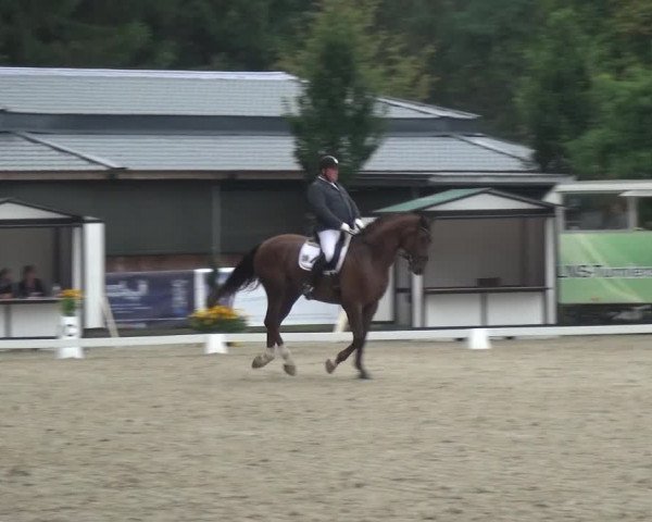 Reitsport Festival am Gut Jagenberg - Solingen 2021