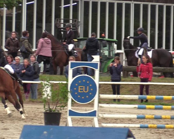 Reitturnier Werne 2021